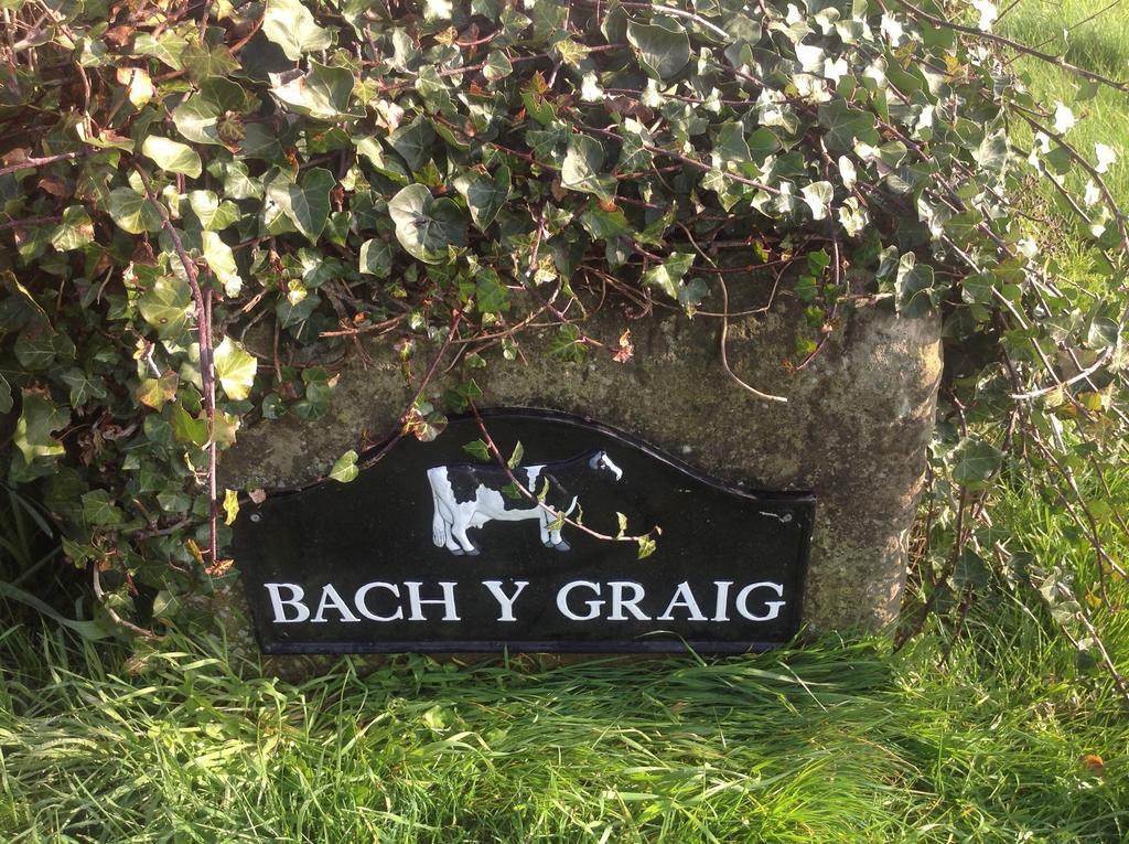 Готель Bach Y Graig Сент-Асаф Екстер'єр фото