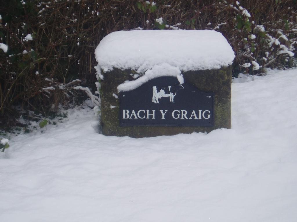 Готель Bach Y Graig Сент-Асаф Екстер'єр фото